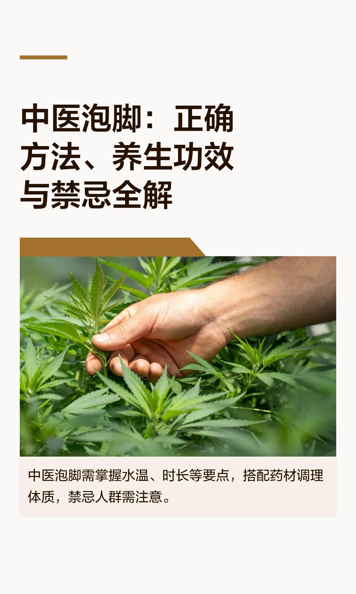 中医泡脚：正确方法、养生功效与禁忌全解国医的精诚力量