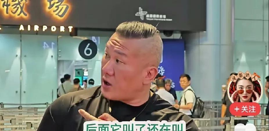 在绿蓝营之间，馆长选择了“回祖国怀抱”？7月27日，海峡导报消息，馆长当日下午自