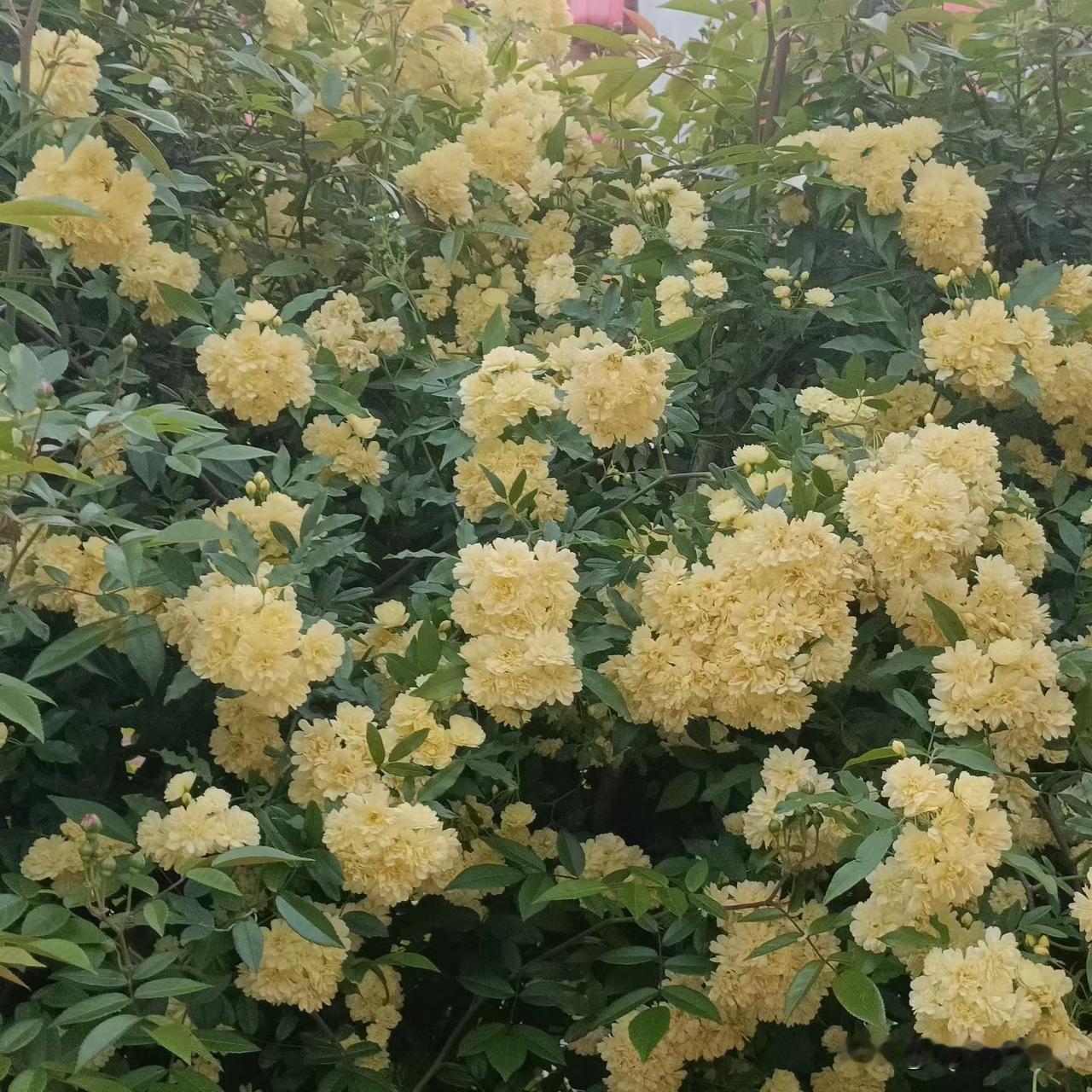 无论什么事都不要生气，生气就是在消耗自己。什么谁对谁错，谁多谁少，谁输谁赢，都不