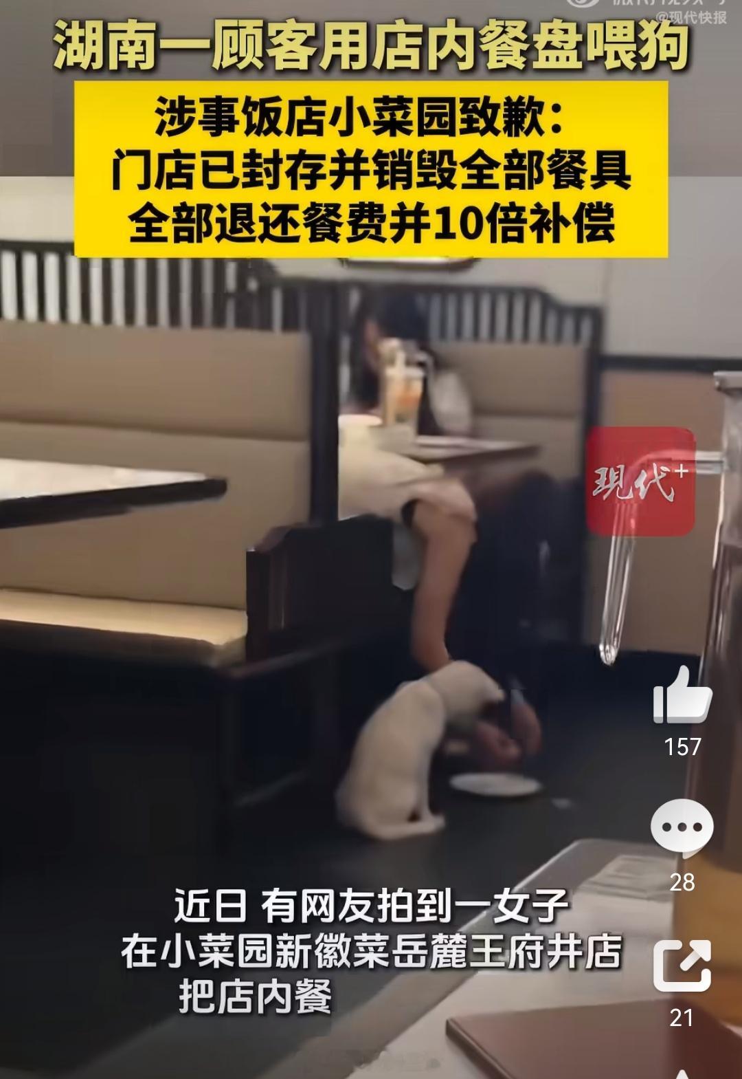 小菜园就顾客用餐盘喂狗事件致歉小菜园道歉无妄之灾啊，看了下微博智搜的整理。大概