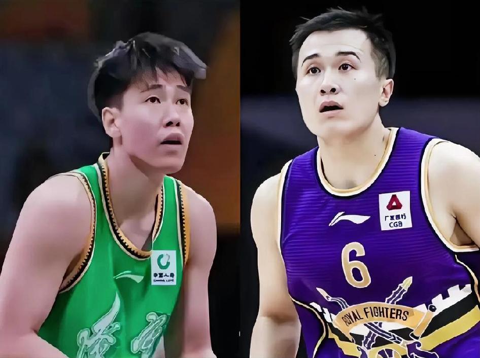 兄弟们！刷视频看到有网友说辽宁队休赛期要拿李虎翼换北控队的张帆？说实话！看到这