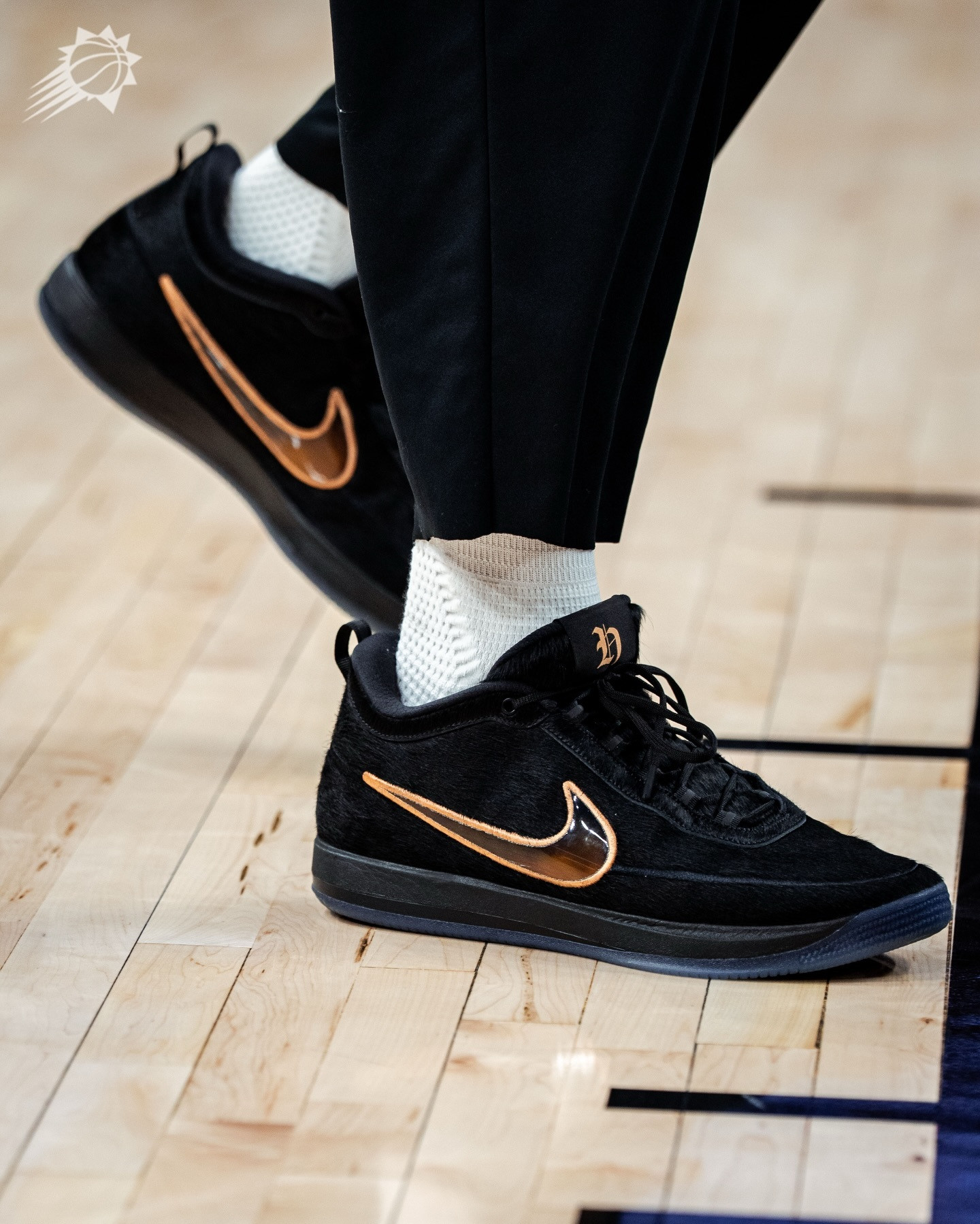 德文布克上脚的Book2HavenandHector布克的狗狗配色