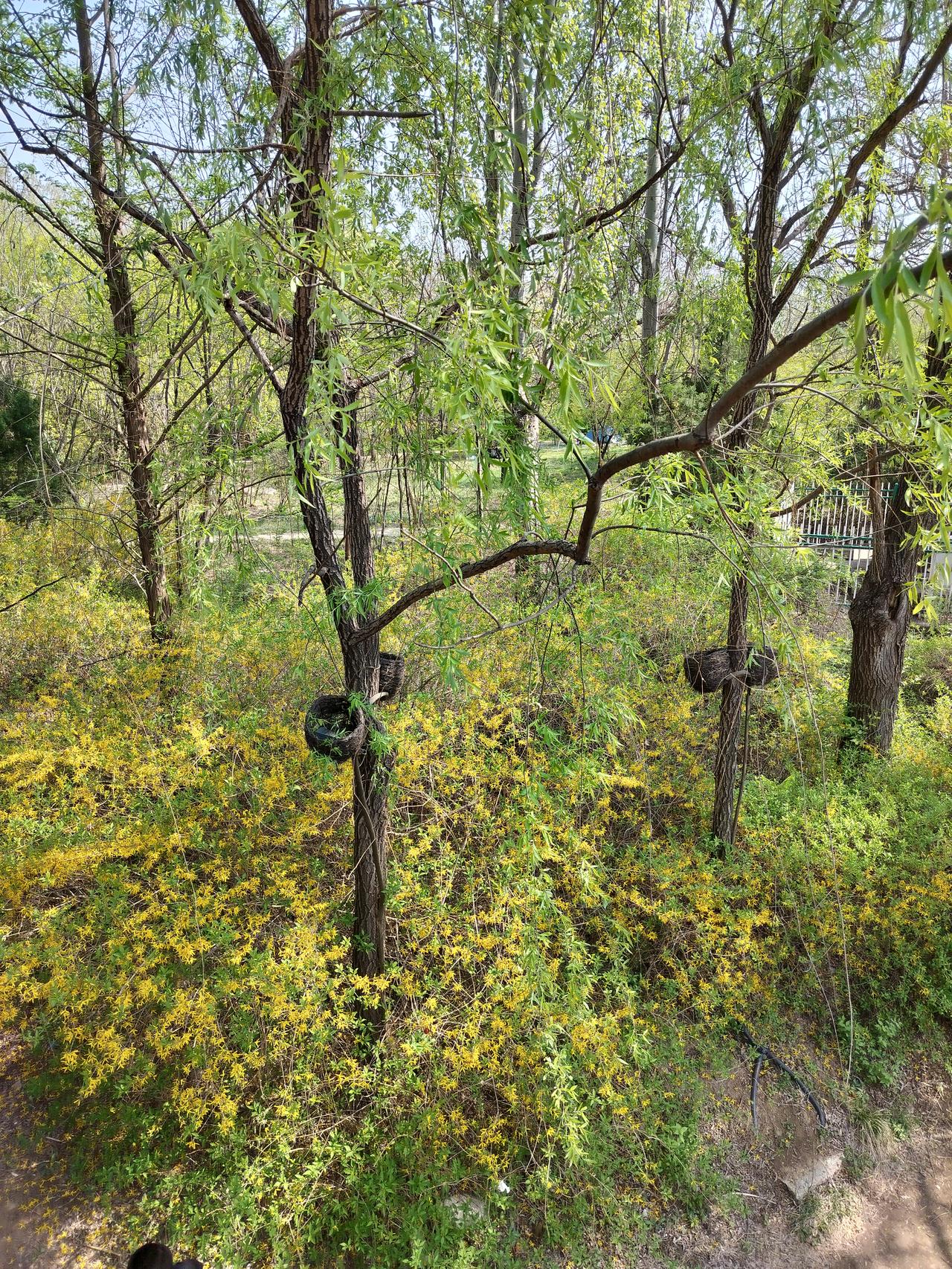 下午约的两点去种牙，我那心就噗噗跳的厉害，我怕自己太紧张，平复了一会儿那儿的小