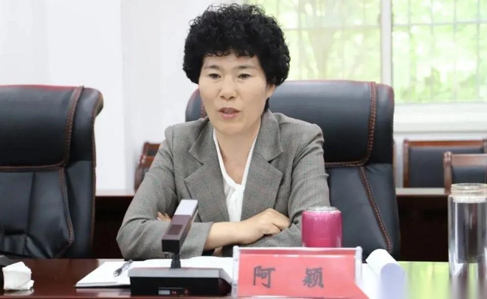 南阳市副市长阿颖是高考移民吗？明确的说，阿颖不是高考移民，而是邓州市本地人，是