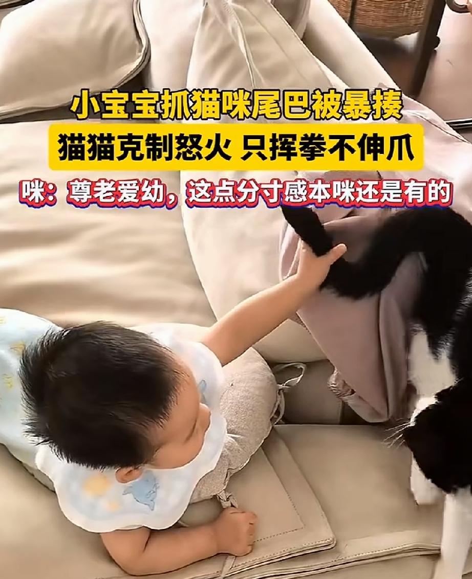 猫咪趴在床上，陪伴睡着了的宝宝，尾巴时不时的动一下。宝宝醒了，看见猫尾巴不时的晃