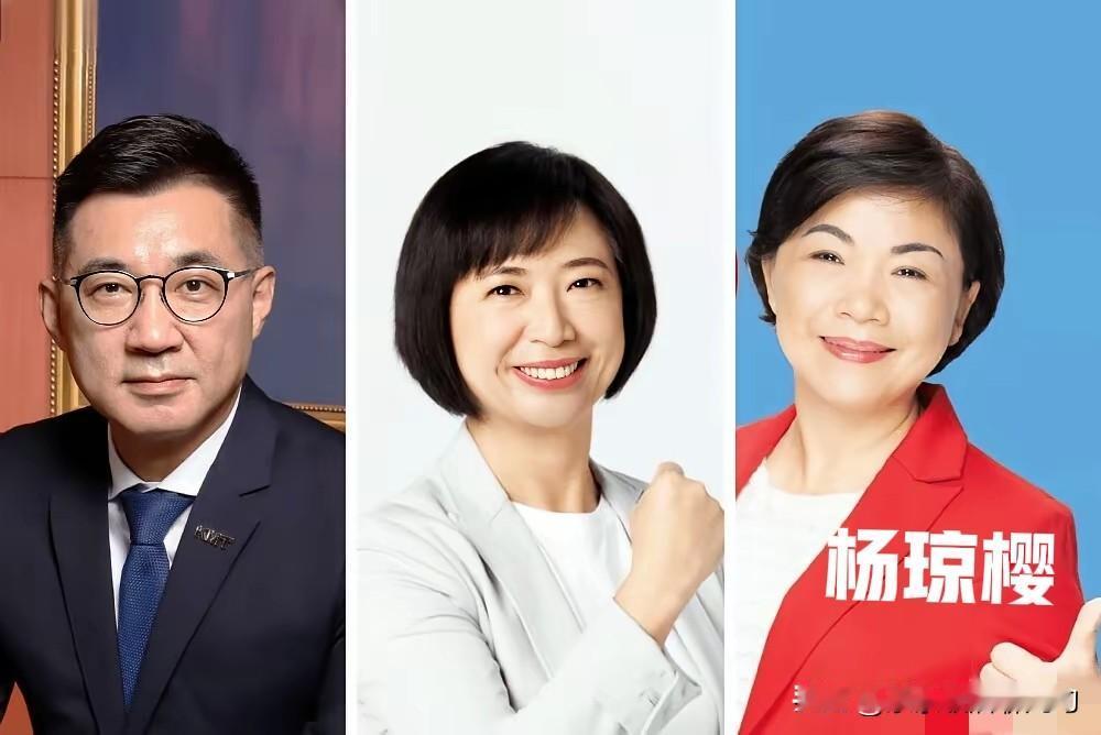 江启臣大幅领先杨琼樱！今天，据说是国民党内参民调出来了。两人对比，江启臣支持