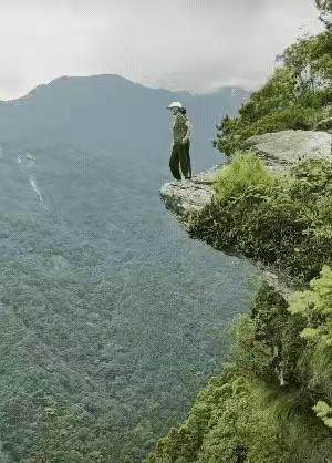 《拍照》美女为了拍险照，站在悬崖好骄傲。一旦摔下不得了，………？敬请网