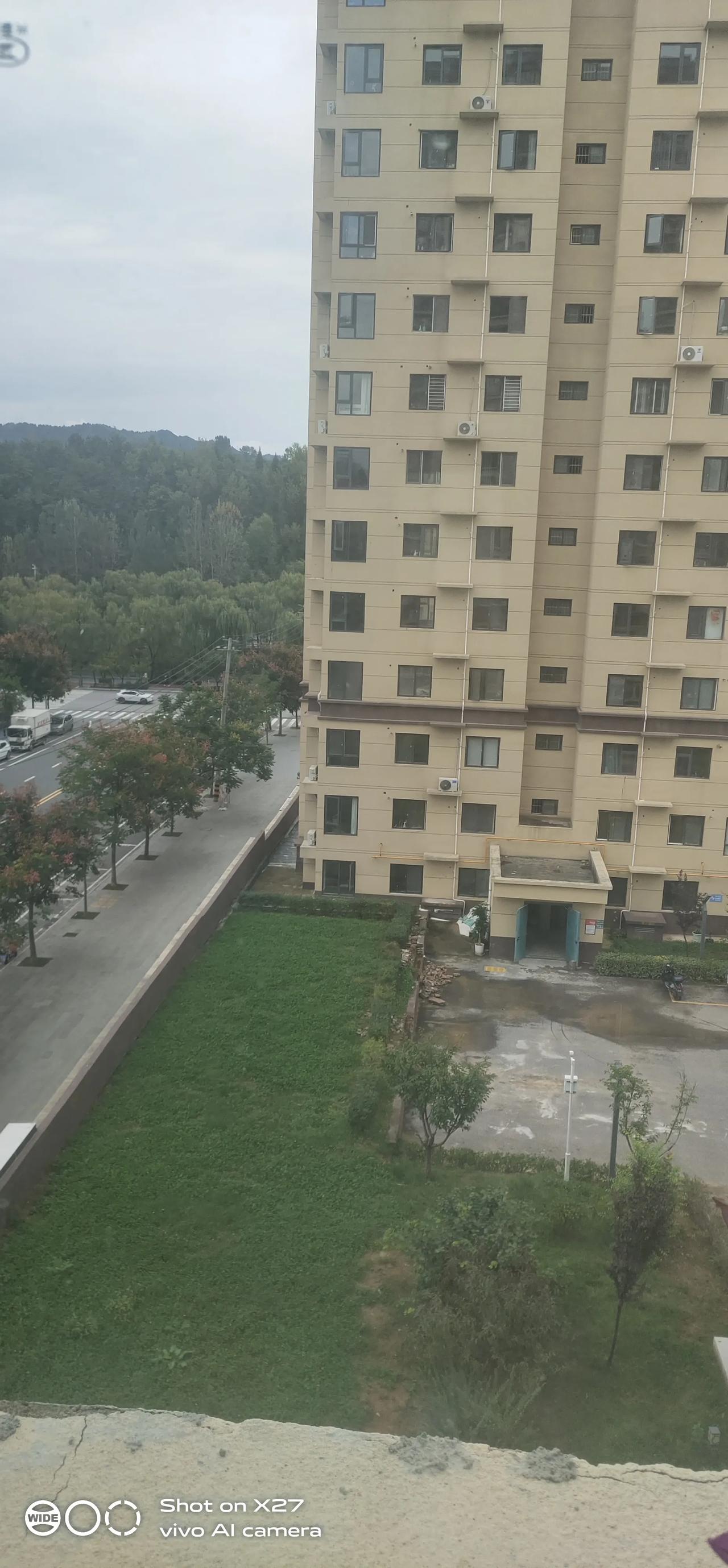 女人没路走的时候，​就想逮个男人结婚当靠山；​哪怕日子苦点也图个安稳；可男