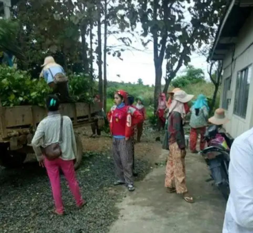 有些国家穷那真是活该,就比如如柬埔寨,坐拥18万平方公里的土地,75%是平原,人