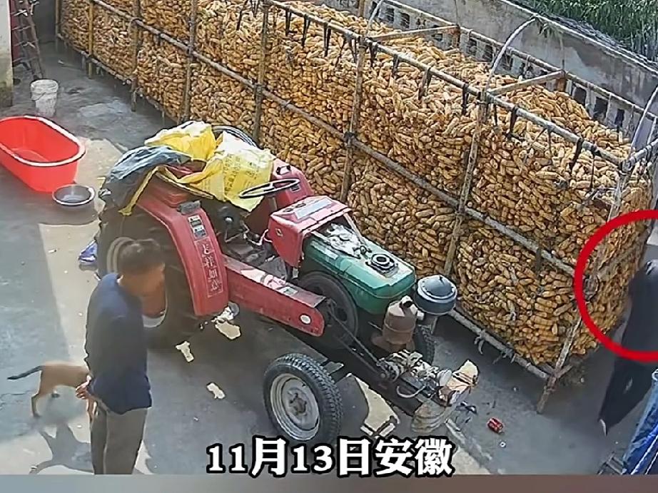 家里的狗，把老人养的鸡咬死了，老人拿着锄头气愤的找到家里，见到狗主人二话没说举起