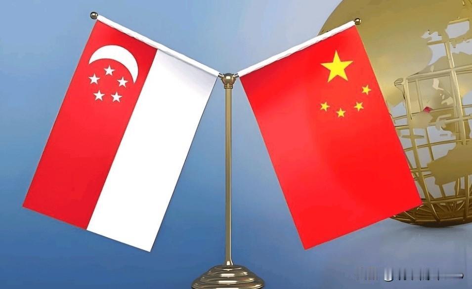 赶在出席北京举办的香山论坛之前，新加坡表了态！新加坡国防部长表示，新加坡永远不能