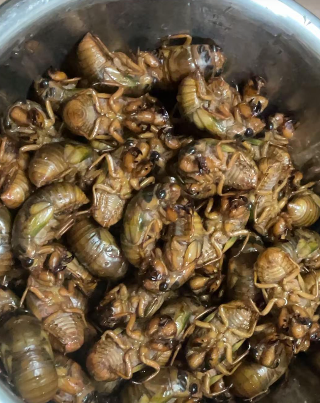 这是什么美食看着有点不敢吃！