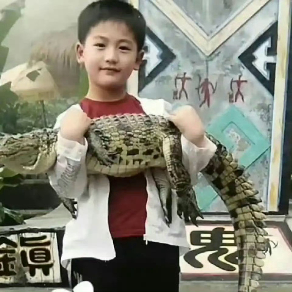 怪不得张凌赫这么帅，原来是遗传了妈妈，妈妈真有气质张凌赫客串