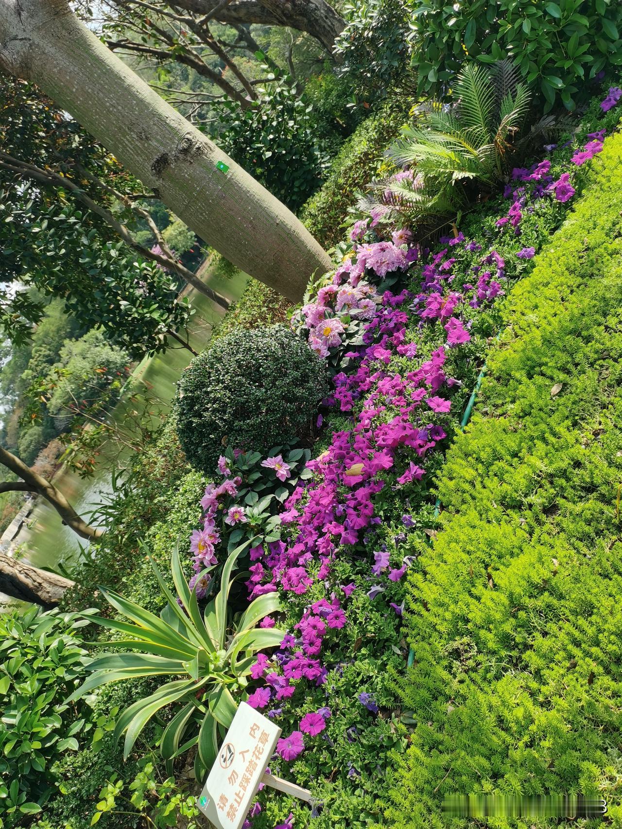 同事33岁未婚，今年春节期间去相亲，对方是个离异带娃30岁的女人，女人很漂亮，同