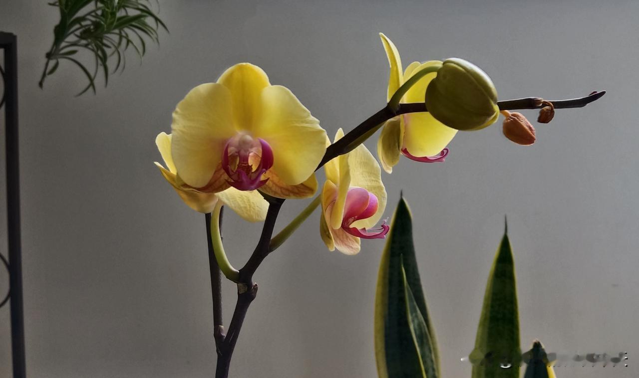 40岁男性若放弃这12件事，有望多活30年：性生活，30岁后就舍弃吧，毕竟这是