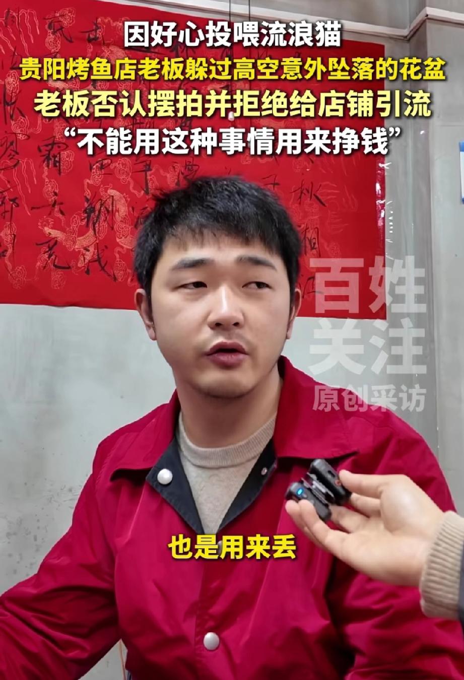 太圈粉了！贵阳烤鱼店老板石茂芪，因投喂流浪猫躲过高空坠落的10斤花盆。事后他拒绝