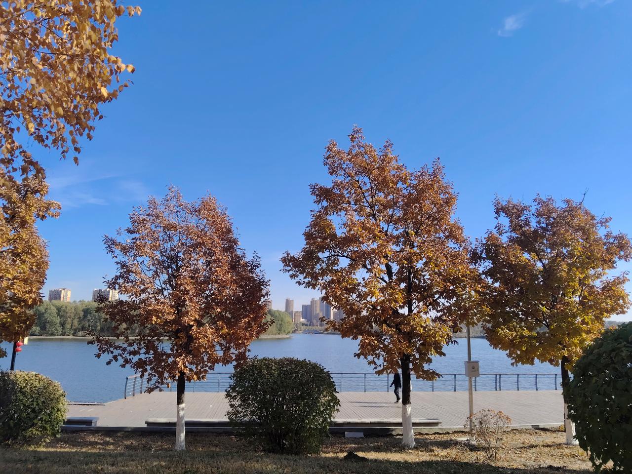 “那些说老师不失业的，一本人是老师，二是老师的亲属，不是小班制能够解决的，减少教