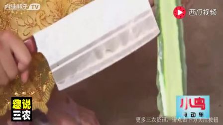 军人本色 黑鸭子