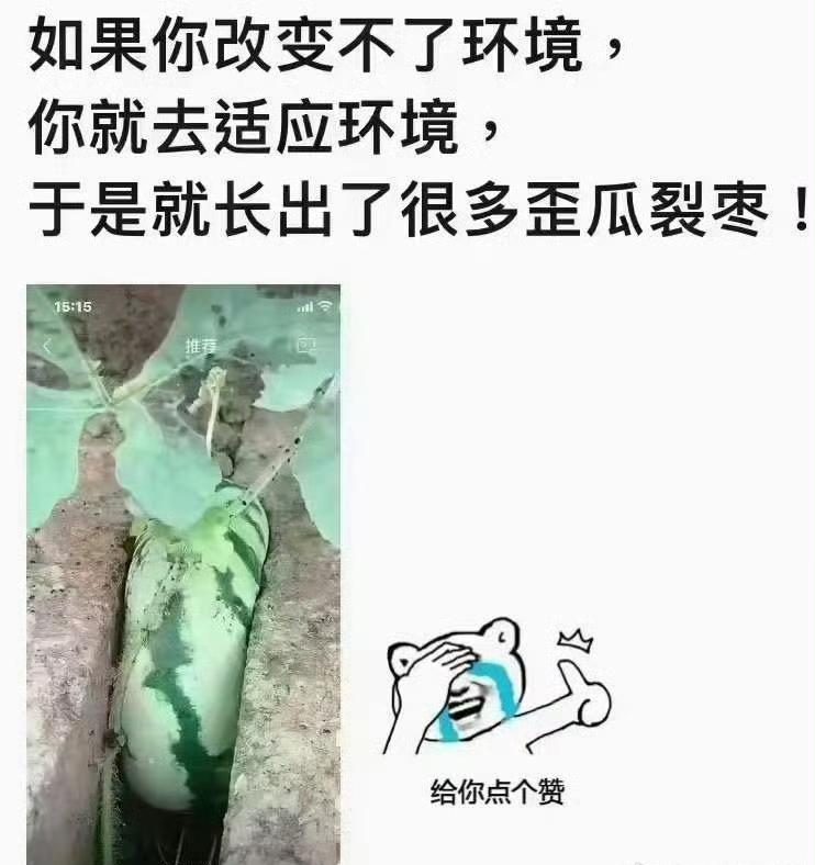 这就是一味适应的结果
