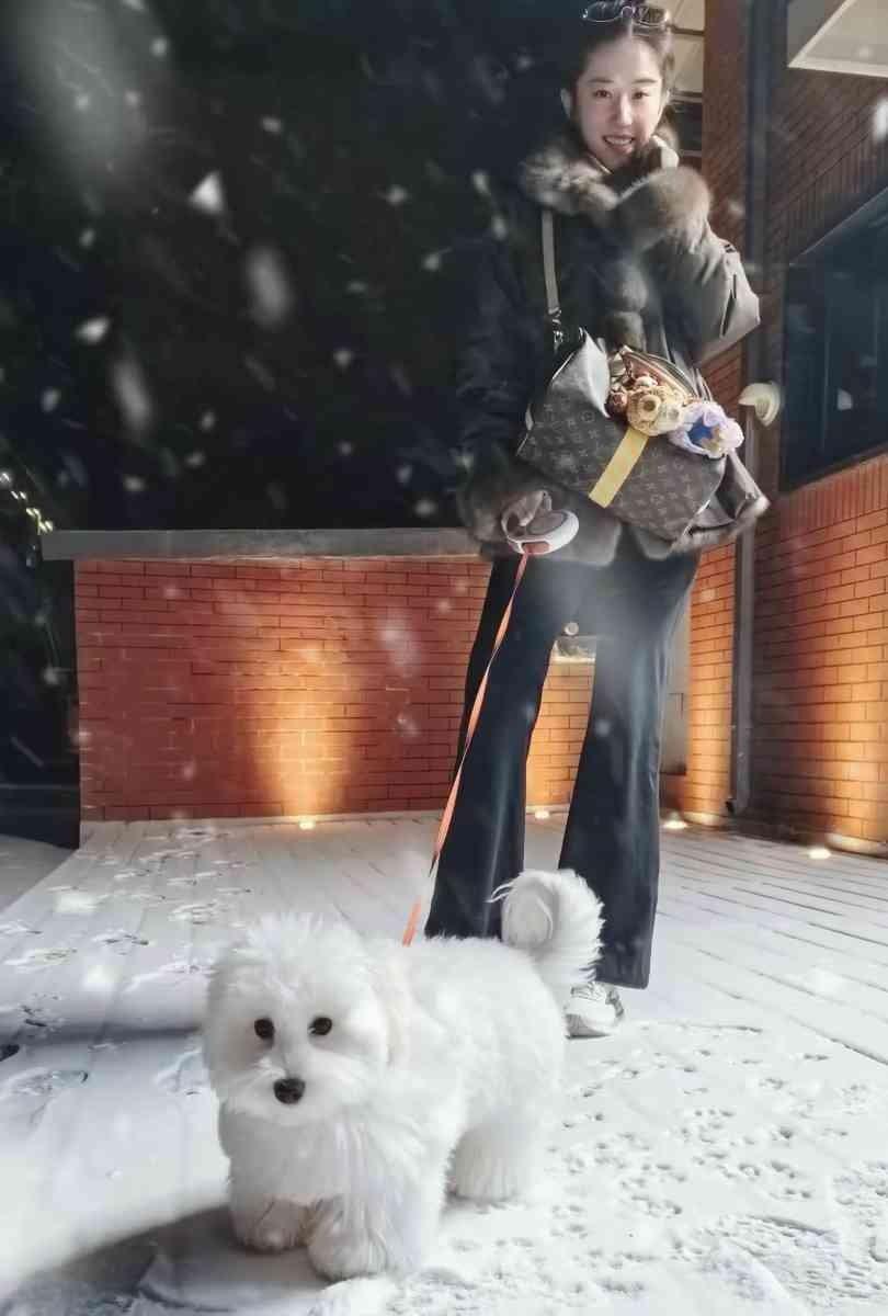 刘亦菲在雪夜遛狗，12万外套清纯得像十八岁。旁边那只白狗，狗绳松弛，步伐悠闲