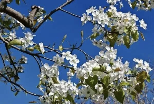 【想成为优秀的父母，要懂得先经营好自己的生活】想成为优秀的父母