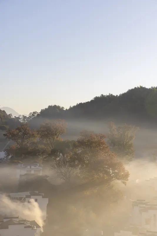 生活里，常常有人喊着“不怕”去硬扛，可有时这不过是逞强。其实不必说“不怕”，光一