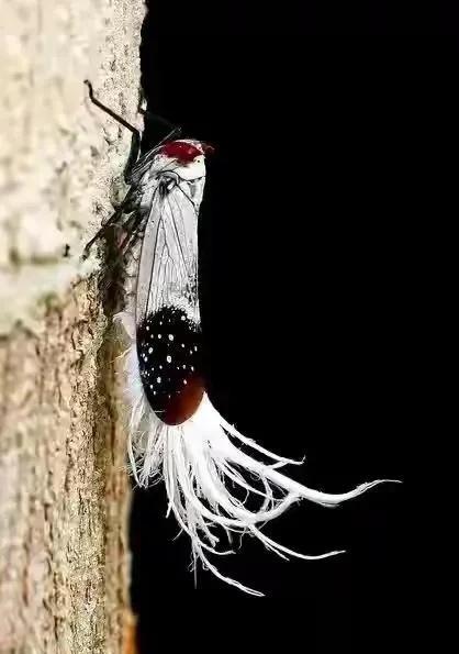 古语说的好，老人不住西北，厕所不起东南，主屋后面不搭小房，急则有失，怒则无智，庙