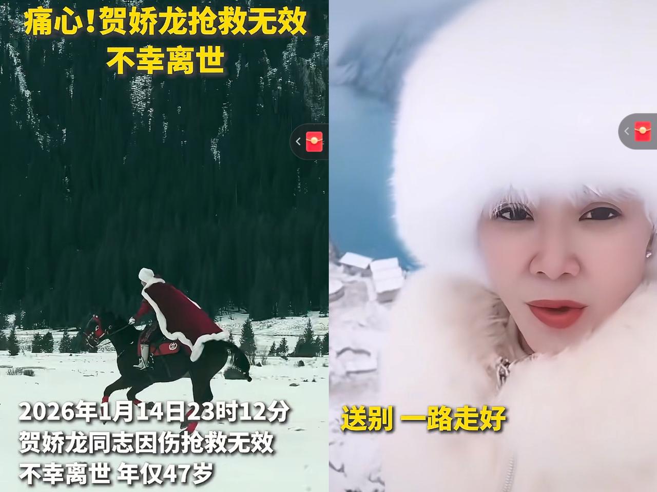 不懂就问？为什么贺娇龙，14号确定死亡，15号咋就下葬了？她同学说遗体运回老家