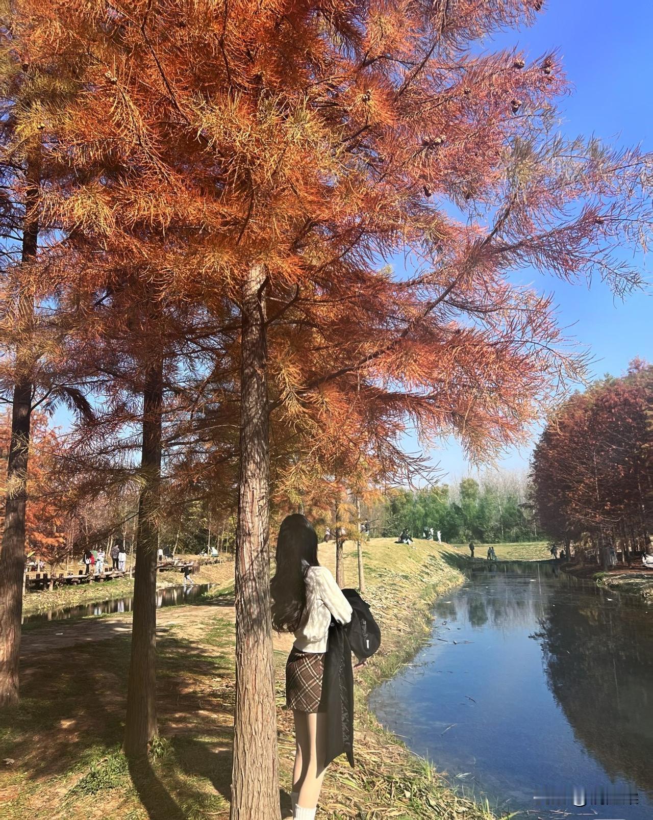 秋天不止有银杏