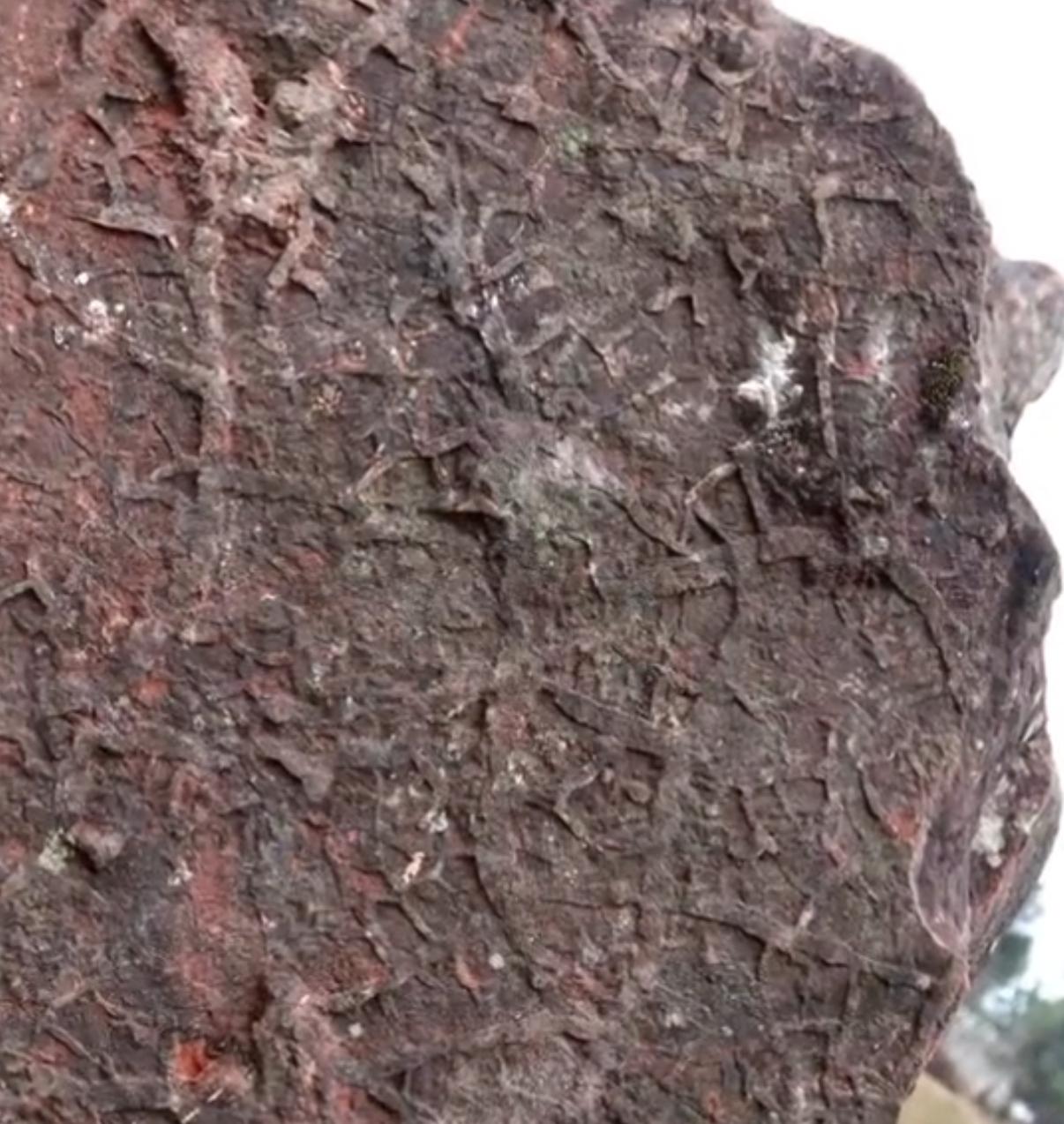 近日，四川省富顺县永年镇五里村出了件奇事：村口用了20多年的垫脚石，居然是1.8