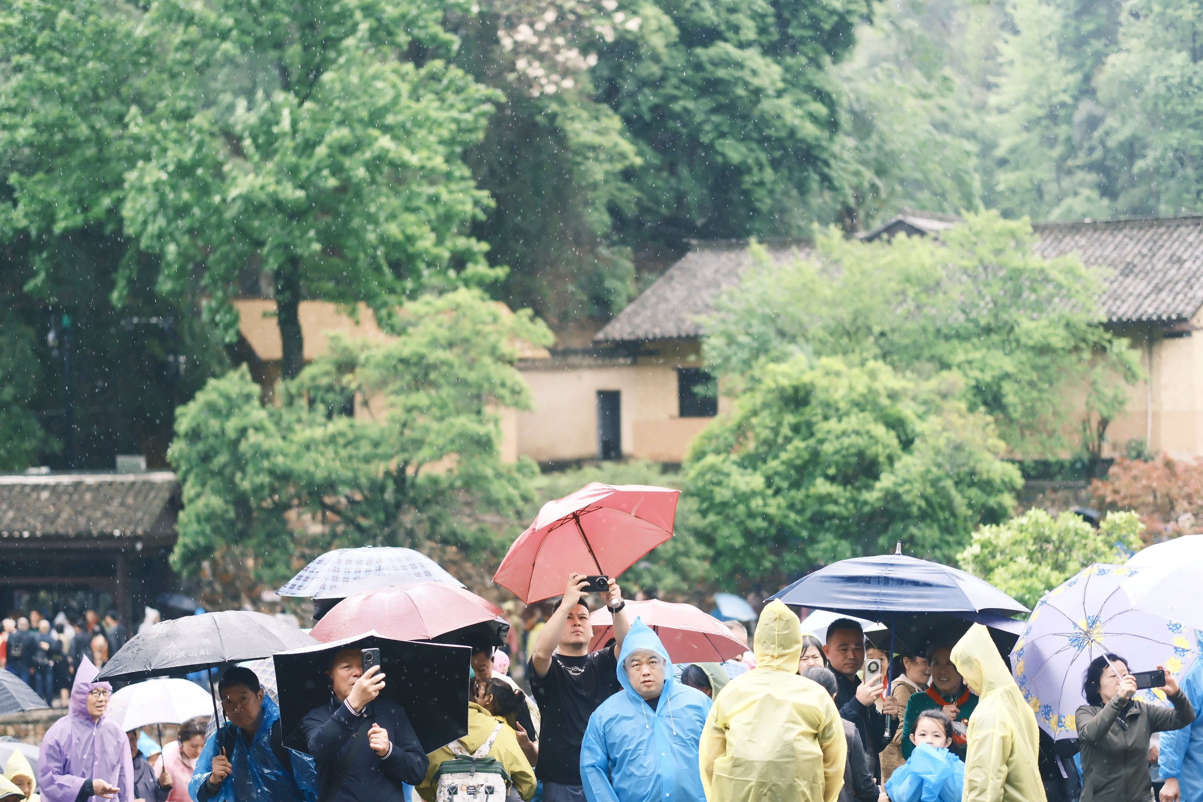 今天，雨大的程度可以用瓢泼大雨来形容，但人山人海，都是前往教员故居的游人，光是排