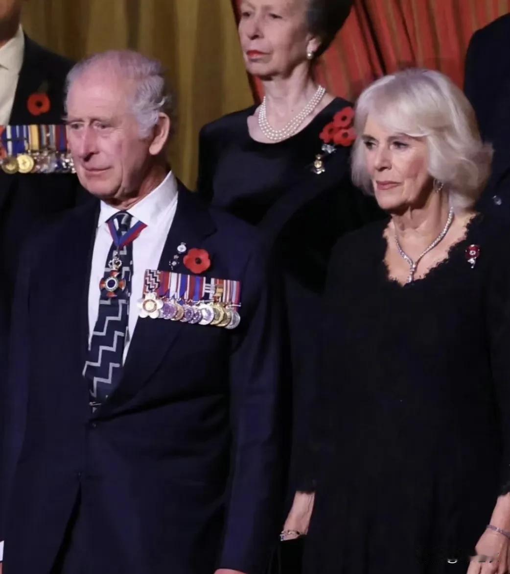 我觉得抛开戴安娜和查尔斯谁先出轨的事不说，单论般配的话还是卡米拉和查尔斯。因