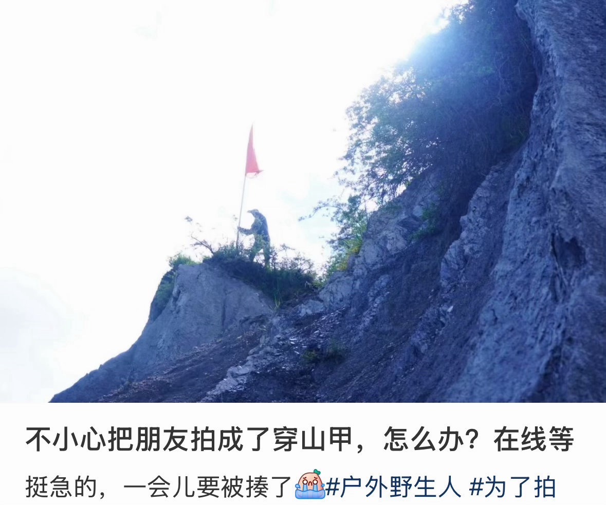 不小心把朋友拍成了穿山甲这也算人生照片了吧