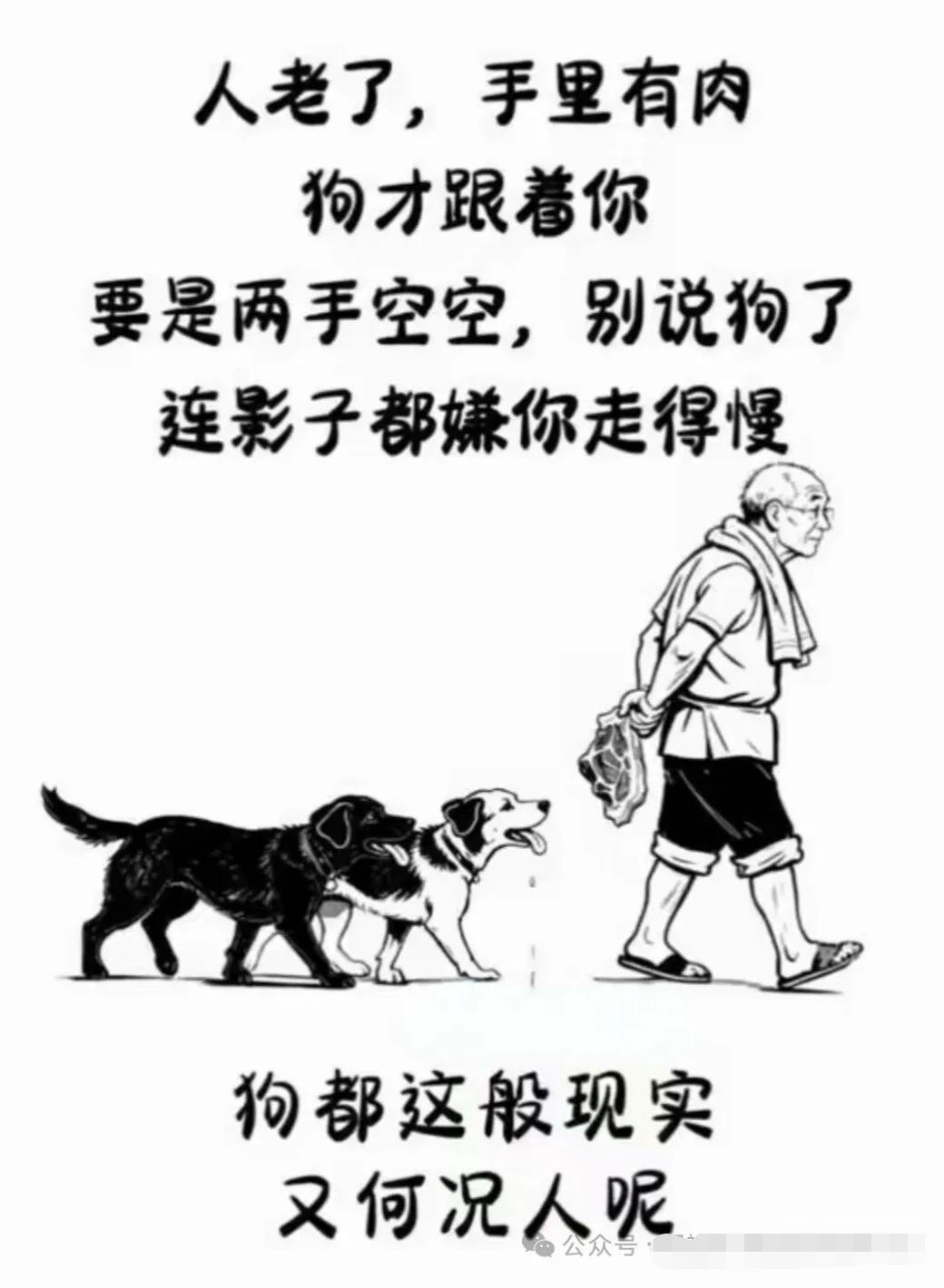 人老了，手里有肉，狗才会跟着你。要是手里没有肉，狗都嫌你。狗都如此的现实，何况人