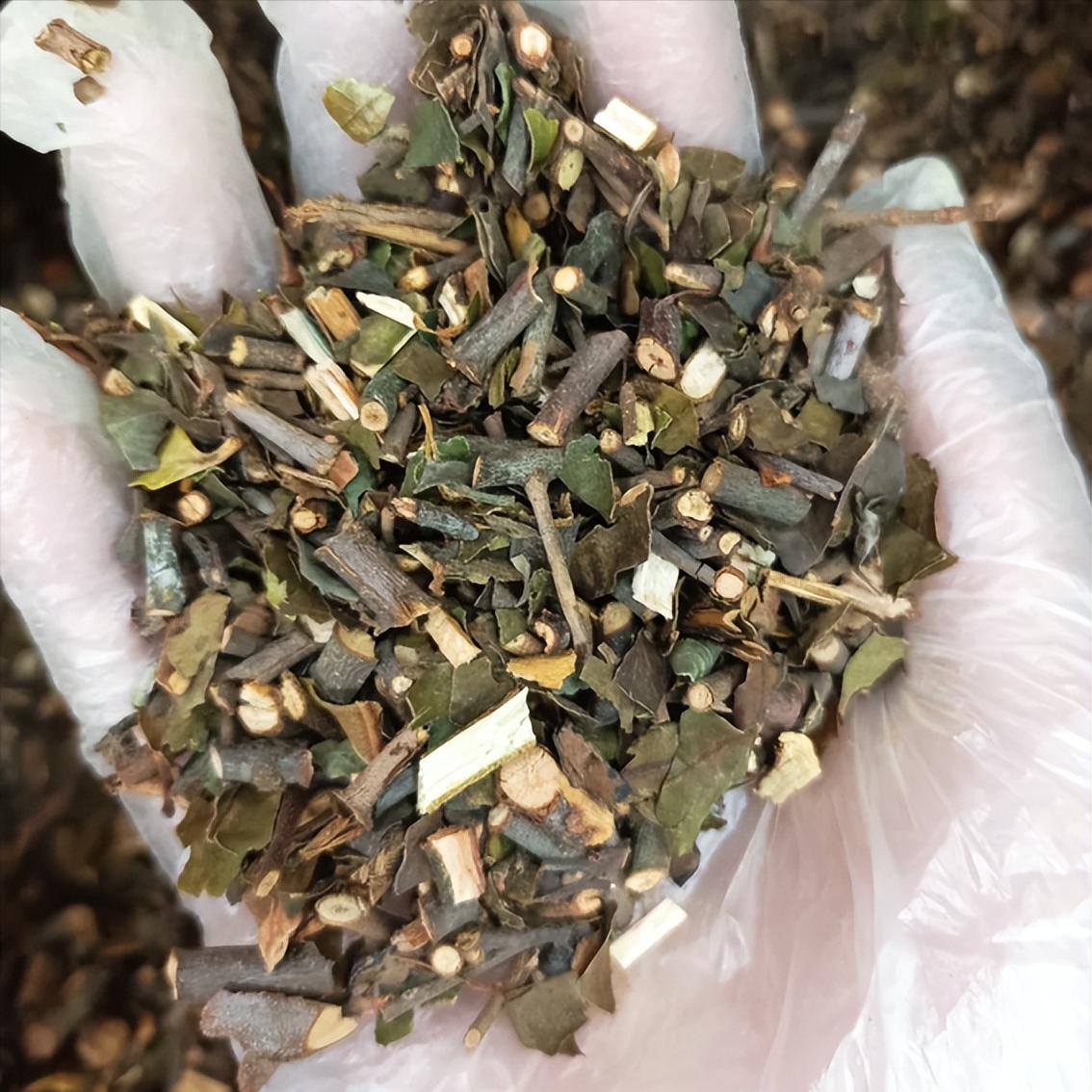 多年前，一位中医前辈传给我一个阳痿早泄“特*方”，我佩服至今！“特效