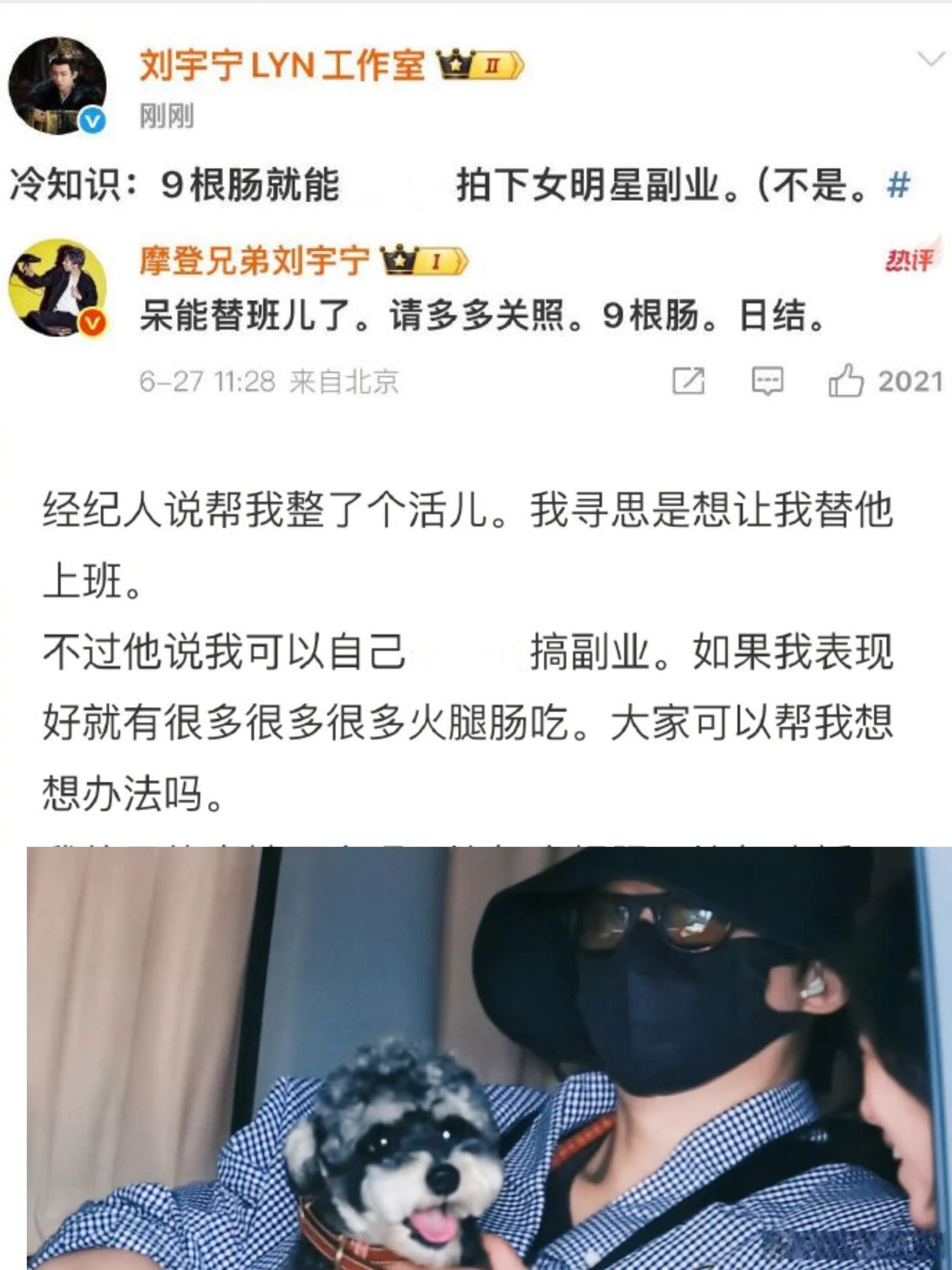 刘宇宁的狗都能出道了日子也是好起来了，给自己的小狗呆米搞上了副业，毕竟是经常陪宁