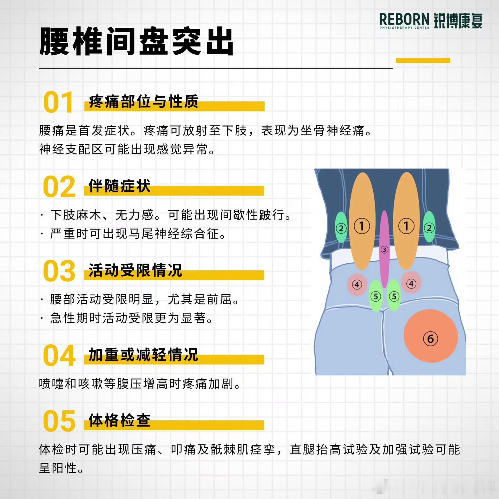 腰痛【腰痛盘点与对比】今天讲了腰背肌筋膜炎，有朋友疑惑：那我究竟是腰突还是筋膜