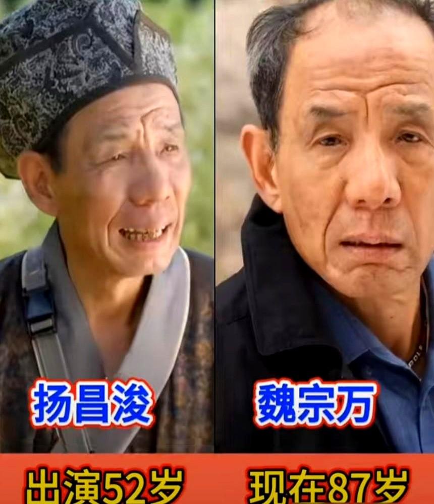 重看《杨乃武与小白菜》，才发现我错怪编剧了。小白菜根本不是什么纯情小白花！