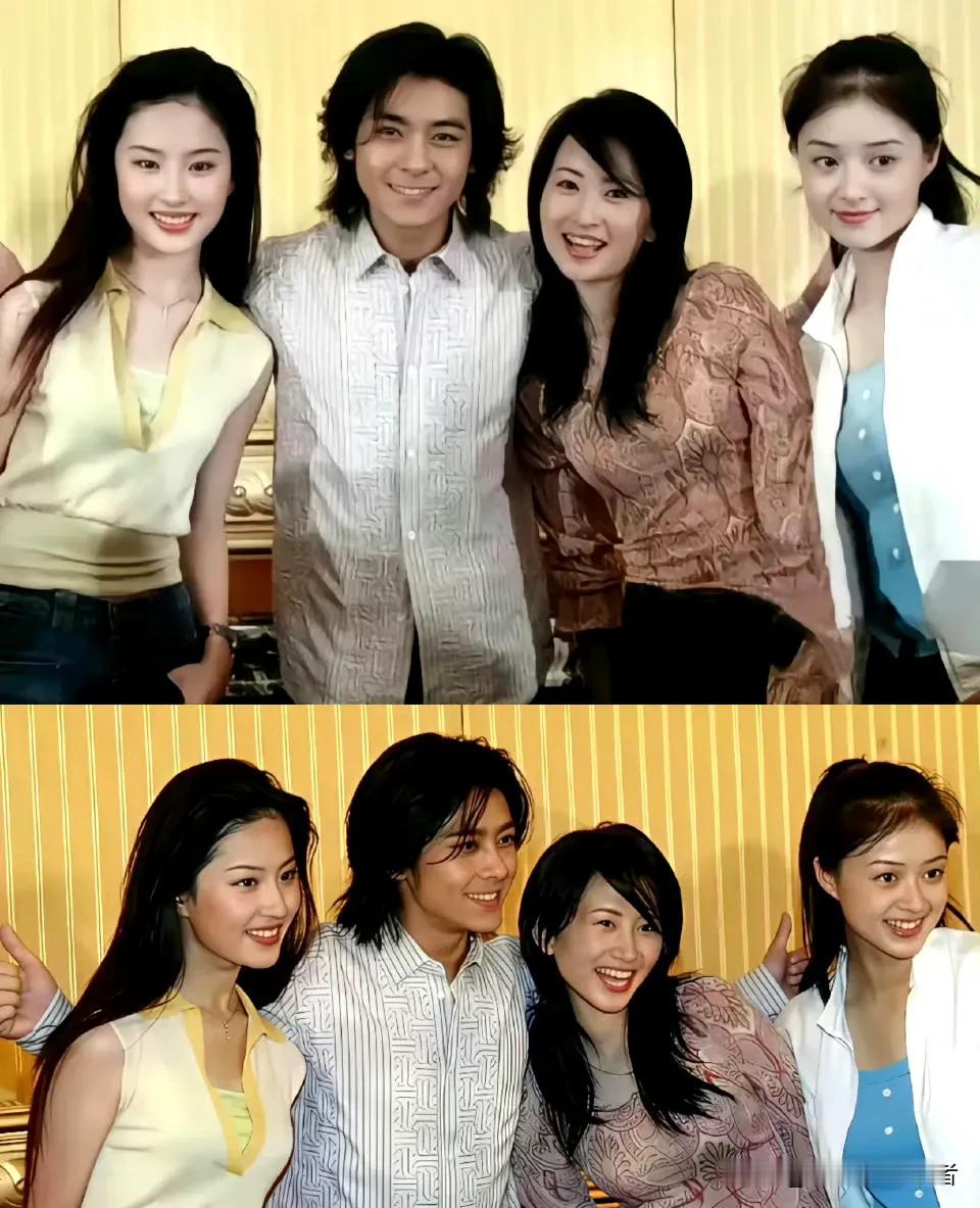 林志颖扮演的段誉真是最帅气的，刘亦菲也是最美王语嫣，蒋欣扮演的木婉清和杨蕊扮演的