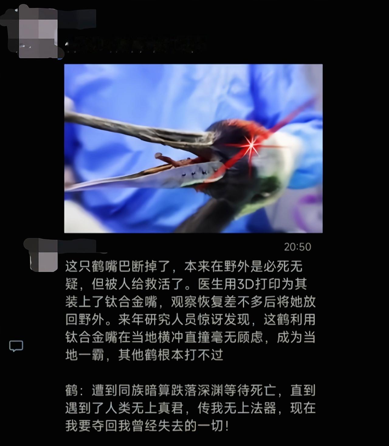 这只鹤能把自己嘴打坏就已经说明很多问题了[吃瓜]