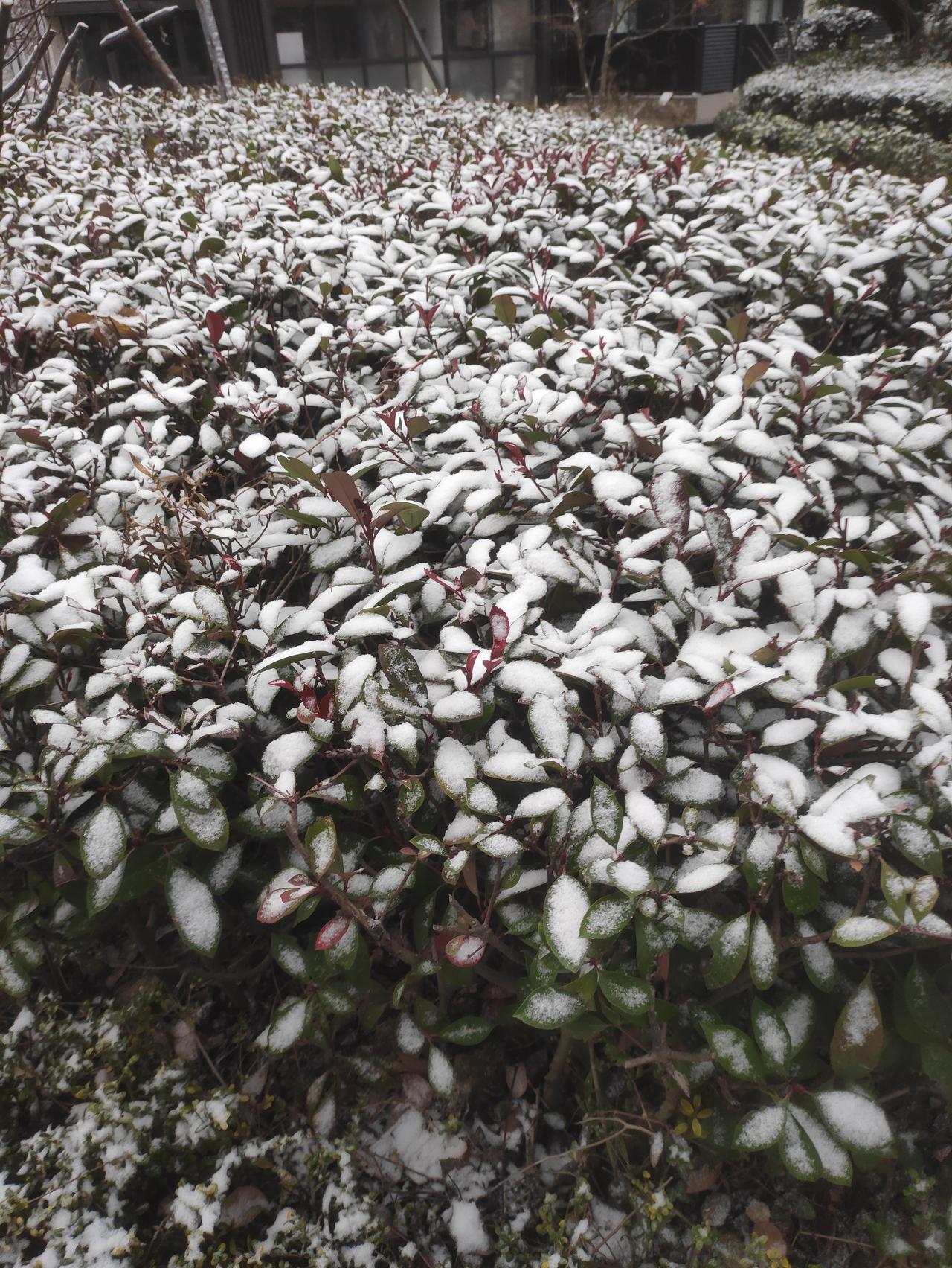 紫微斗数天同星天同星，小孩星，五行阳水，化气为福。在人，有一种对堪舆和术