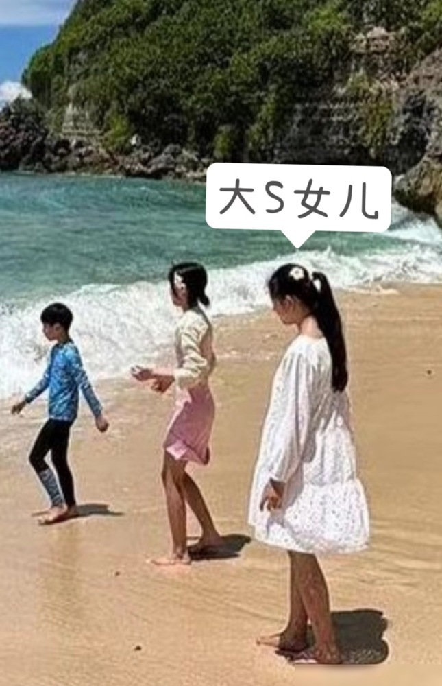 大S对女儿到底有多不上心，看看小S的女儿就懂了。小S这边，女儿们浑身名牌，小小年纪就闯时尚圈，又是杂
