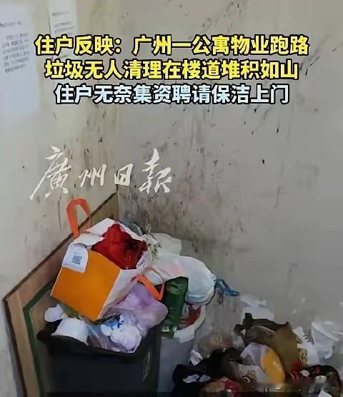 天河北公寓物业跑路后：白领们自己扫垃圾、凑钱保电梯，这日子太魔幻云嘉翡翠公