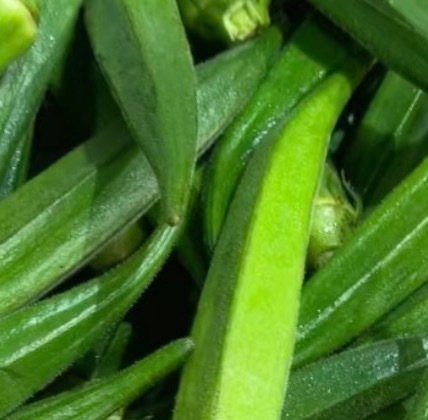 秋葵的种植方法一、整地种植每年的4月至8月都可以露天种植秋葵，当年就可以食用，如