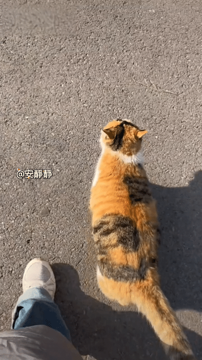 带花花学姐散步啦~~