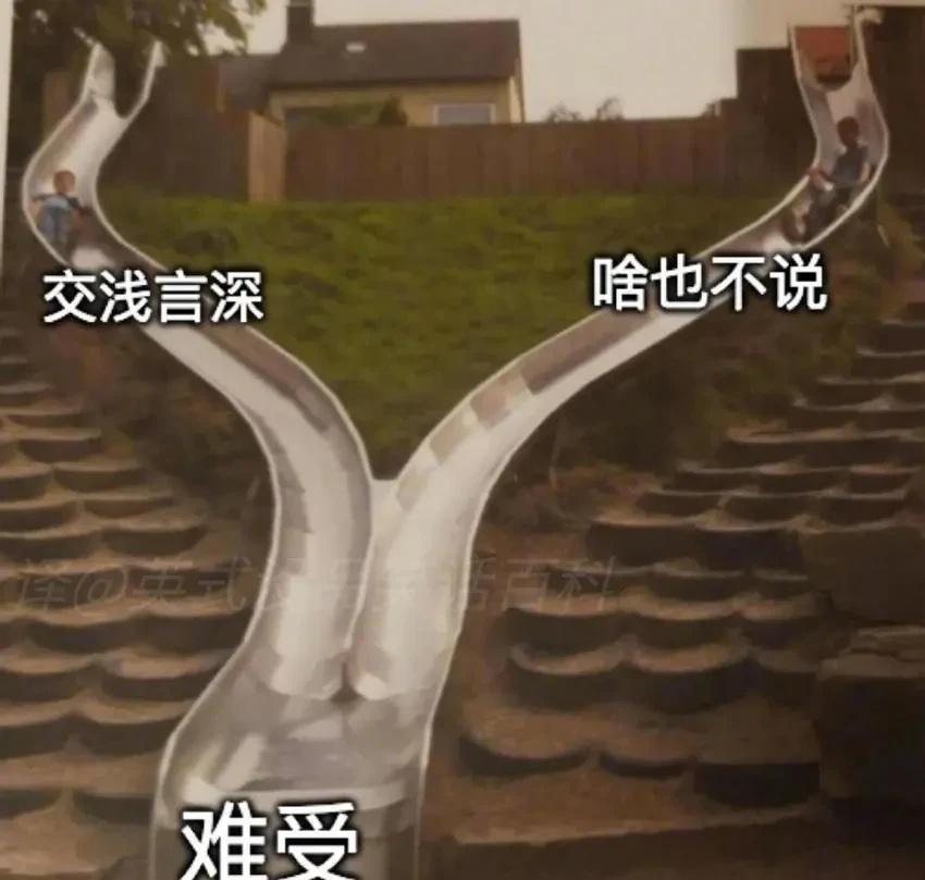 每日meme此图有梗梗图图片仅供娱乐
