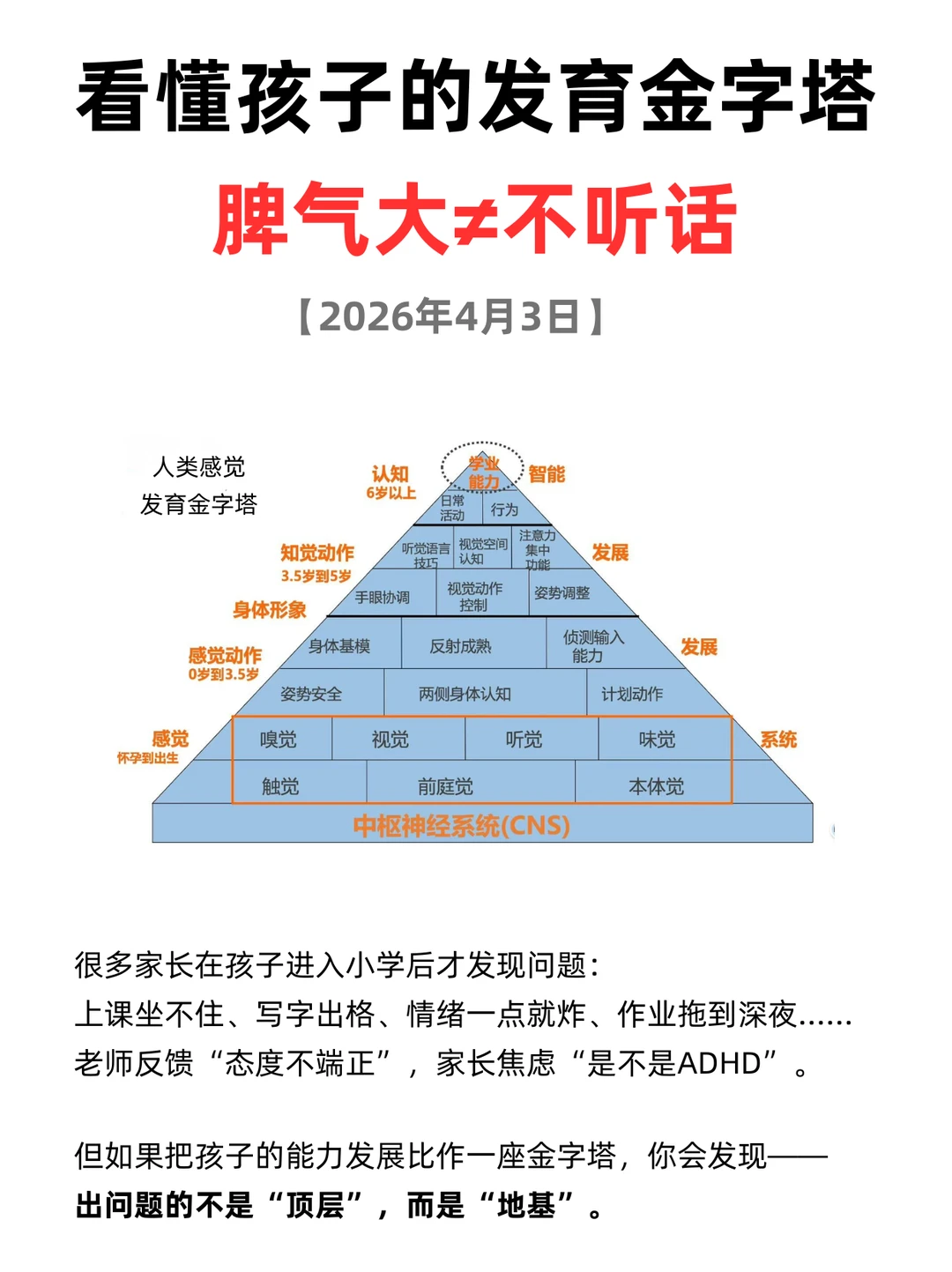 看懂发育金字塔后，我终于不吼娃了...