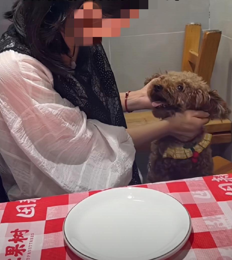 女子花300元买了一只卖不出去的小狗，结果越长越精致，身价暴涨！3000元也不卖