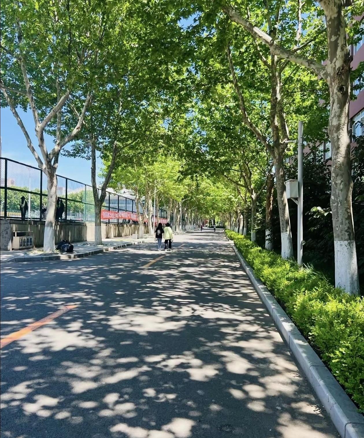 国庆放假，来回高铁票好几百，顶大学生一个月生活费，你猜孩子们回不回家？我侄女宿舍