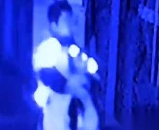 她赶到那家店的时候，狗，已经被扒皮了。一只养了一年，另一只，是她才从街上救回来